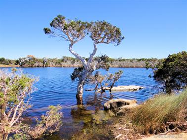 Oldfield River near Munglinup Beach, Western Australia